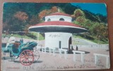 Carte postala, Calimanesti, Parcul Caciulata, perioada interbelica