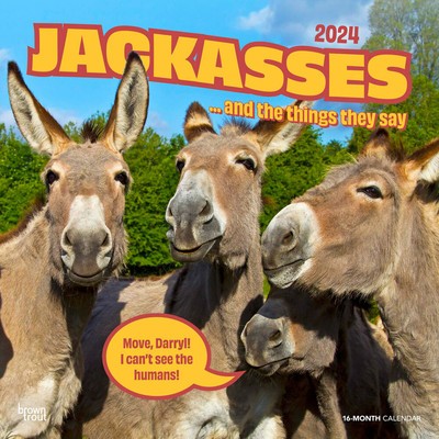Jackasses 2024 Square foto