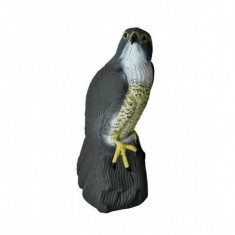 Figurina model soim pentru alungarea pasarilor Negru foto