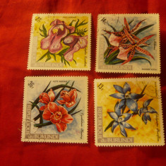 Serie mica Burundi 1972 - Flora , 4 val. stampilate