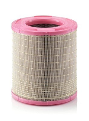 MANN-FILTER C 31 980 Filtru aer foto
