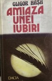 Amiaza unei iubiri Grigore Hasa