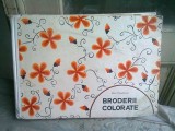 BRODERII COLORATE - MARIA PARASCHIVOIU
