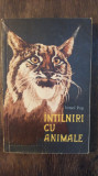 INTALNIRI CU ANIMALE-IONEL POP