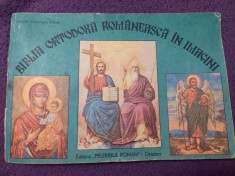 Biblia Ortodoxa Romaneasca In Imagini,Ed.Pelerinul Roman:1991,Dia.Gheorghe Babut