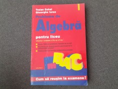 TRAIAN COHAL GHEORGHE IUREA PROBLEME DE ALGEBRA PENTRU LICEU VOL 1