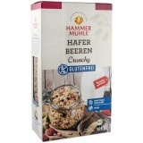 Musli Crocant din Ovaz cu Fructe de Padure Fara Gluten Bio 325 grame Hammer Muhle
