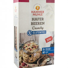 Musli Crocant din Ovaz cu Fructe de Padure Fara Gluten Bio 325 grame Hammer Muhle