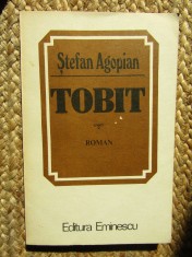 TOBIT-STEFAN AGOPIAN