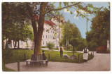 944 - SIBIU, Hospital park, Romania - old postcard - used - 1912, Circulata, Printata