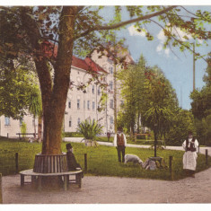 944 - SIBIU, Hospital park, Romania - old postcard - used - 1912