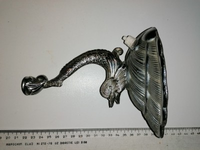 BRAT VECHI PENTRU VEIOZA foto