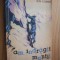 AM INDRAGIT MUNTII - Amintiri despre alpinism si drumetie - I. COMAN -1963, 304p