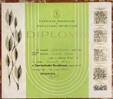 SPARTACHIADA REPUBLICANA 1964 DIPLOMA/ POZE