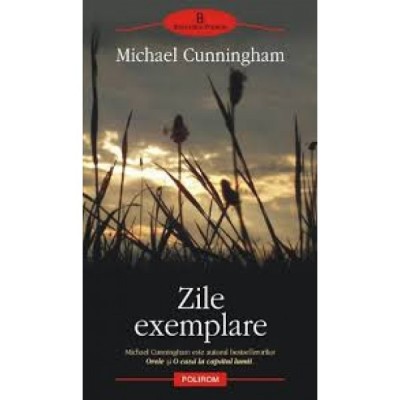 ZILE EXEMPLARE - MICHAEL CUNNINGHAM foto