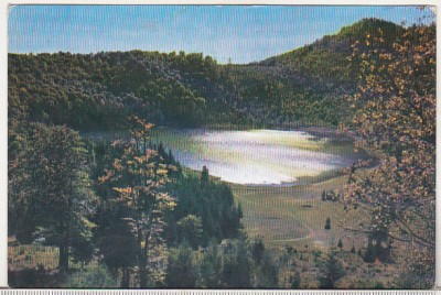 bnk cp Tusnad - Lacul Sf Ana - circulata foto