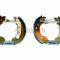 Set saboti frana NISSAN NOTE (E11) (2006 - 2013) BOSCH 0 204 114 626