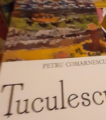 TUCULESCU PETRU COMARNESCU foto