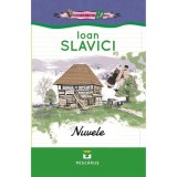 Nuvele - Ioan Slavici