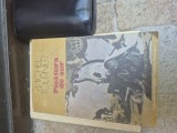 Picatura de aur vintage