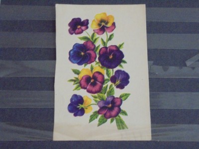 CARTE POSTALA TIP FELICITARE - PANSELUTE - FLORILE IN RELIEF - ANII 1950 - 1960 - NECIRCULATA foto
