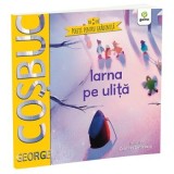 Iarna pe ulita - George Cosbuc