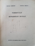 VIBRATIILE MOTOARELOR NAVALE - Buzbuchi, Dinescu
