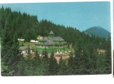 CPI B 11816 CARTE POSTALA - MASIVUL &quot;RARAU&quot;. CABANA &quot;RARAU&quot;