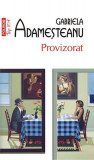 Provizorat (Top 10+) - Paperback brosat - Gabriela Adameşteanu - Polirom, 2020