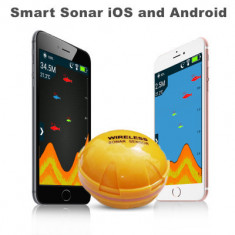 Detector de Pesti cu Sonar WIFI ANDROID IOS .Afisare pe telefon foto