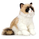 Pisica Ragdoll de plus 25 cm , Living Nature