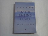 IN THE FAILING LIGHT - DAVID TILLMAN