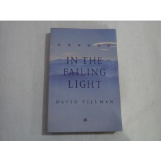 IN THE FAILING LIGHT - DAVID TILLMAN