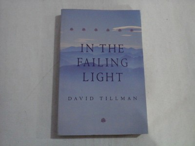 IN THE FAILING LIGHT - DAVID TILLMAN foto