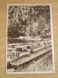 QW27 S - Carte postala - tematica turism - vedere - Slanic Moldova 31 - 1961