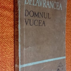 Domnul Vucea - Barbu Stefanescu Delavrancea