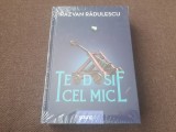 Razvan Radulescu - Teodosie cel mic EDITIE CARTONATA
