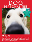 Dog Personalities | Dog Personalities, Transworld Publishers Ltd