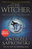 The Witcher - Vol 4 - The Tower of the Swallow