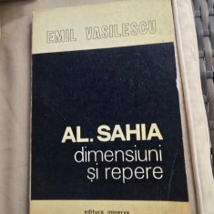 Al. Sahia dimensiuni si repere - Emil Vasilescu