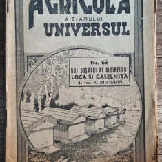 Doi dusmani ai albinelor: loca si gaselnita - A. Bulighin// 1938