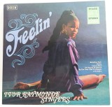The Raymonde Singers Etcetera &lrm;&ndash; Feelin&#039; NM / NM vinil Lp disc pop Decca Germania _ SLK 16843-P