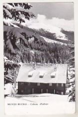 bnk cp Muntii Bucegi - Cabana Padina - circulata