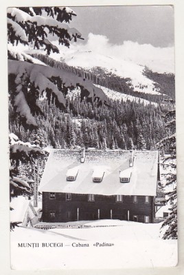 bnk cp Muntii Bucegi - Cabana Padina - circulata foto