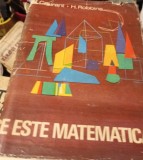 CE ESTE MATEMATICA? Expunere elementara a ideilor si metodelor R. Courant