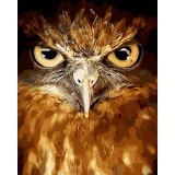 Set de pictura cu numere Jangostor, vopsea acrilica, maro, bufnita, 40 x 50 cm