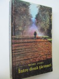 Intre doua tarmuri - Henry James