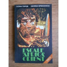 Doina Topor - Escale in Africa si Orient