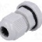 Presetupa poliamida, PG7, IP68, KSS WIRING - EG-7GY1