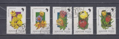 A12 S3 2 - Timbre foarte vechi - Ungaria - flori foto